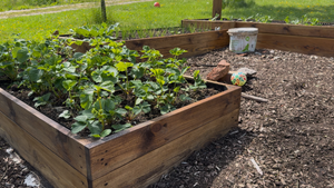 Re-doing our raised garden beds the right way
